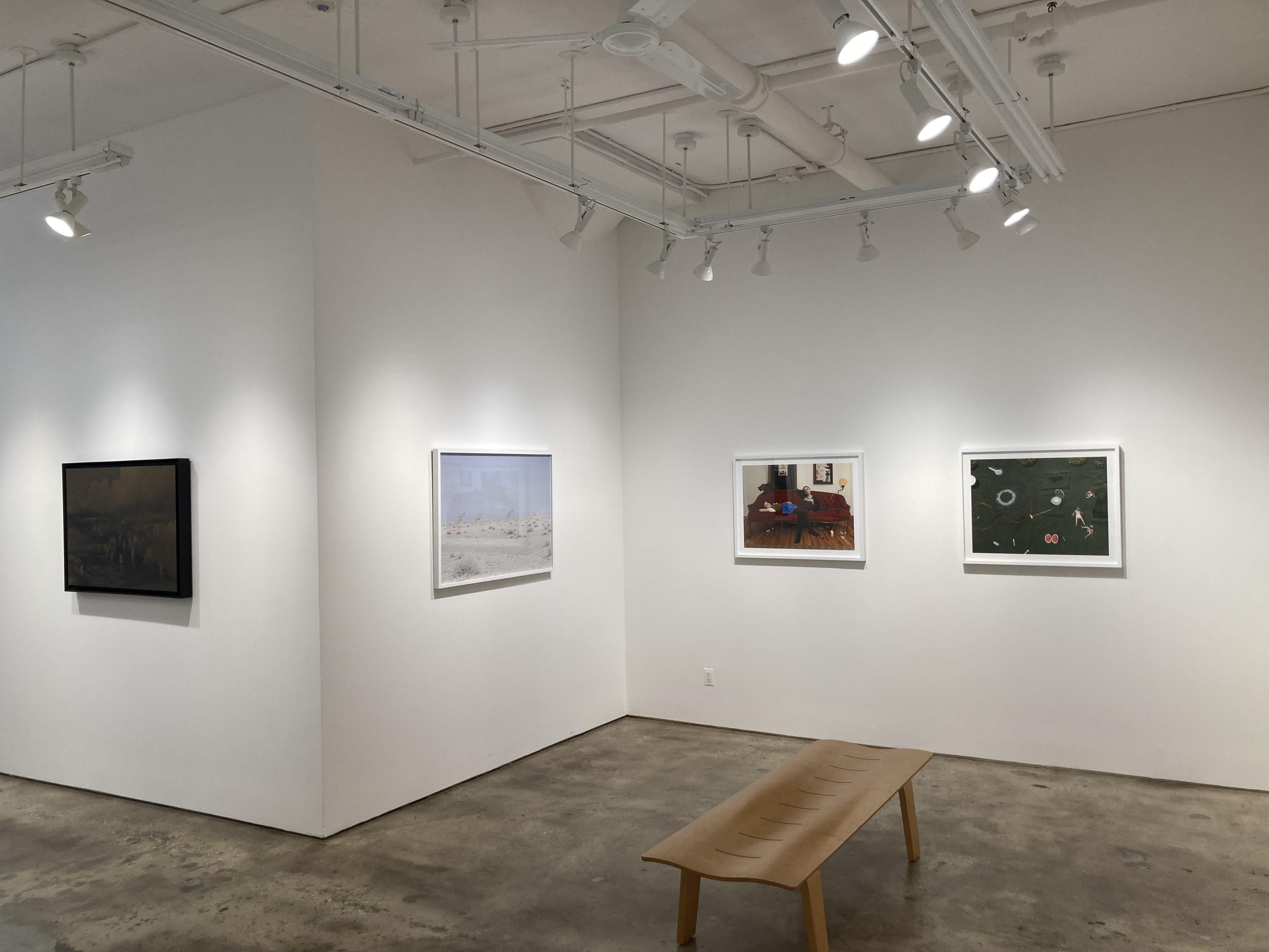 How She Sees: Redux, How She Sees: Redux at Robert Mann Gallery, photo 2