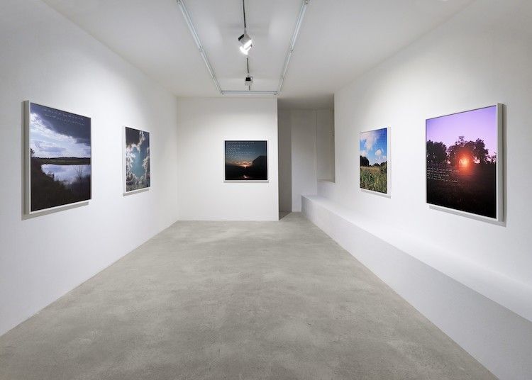 Sky Hopinka, Sunflower Siege Engine at Tanya Leighton, photo 2