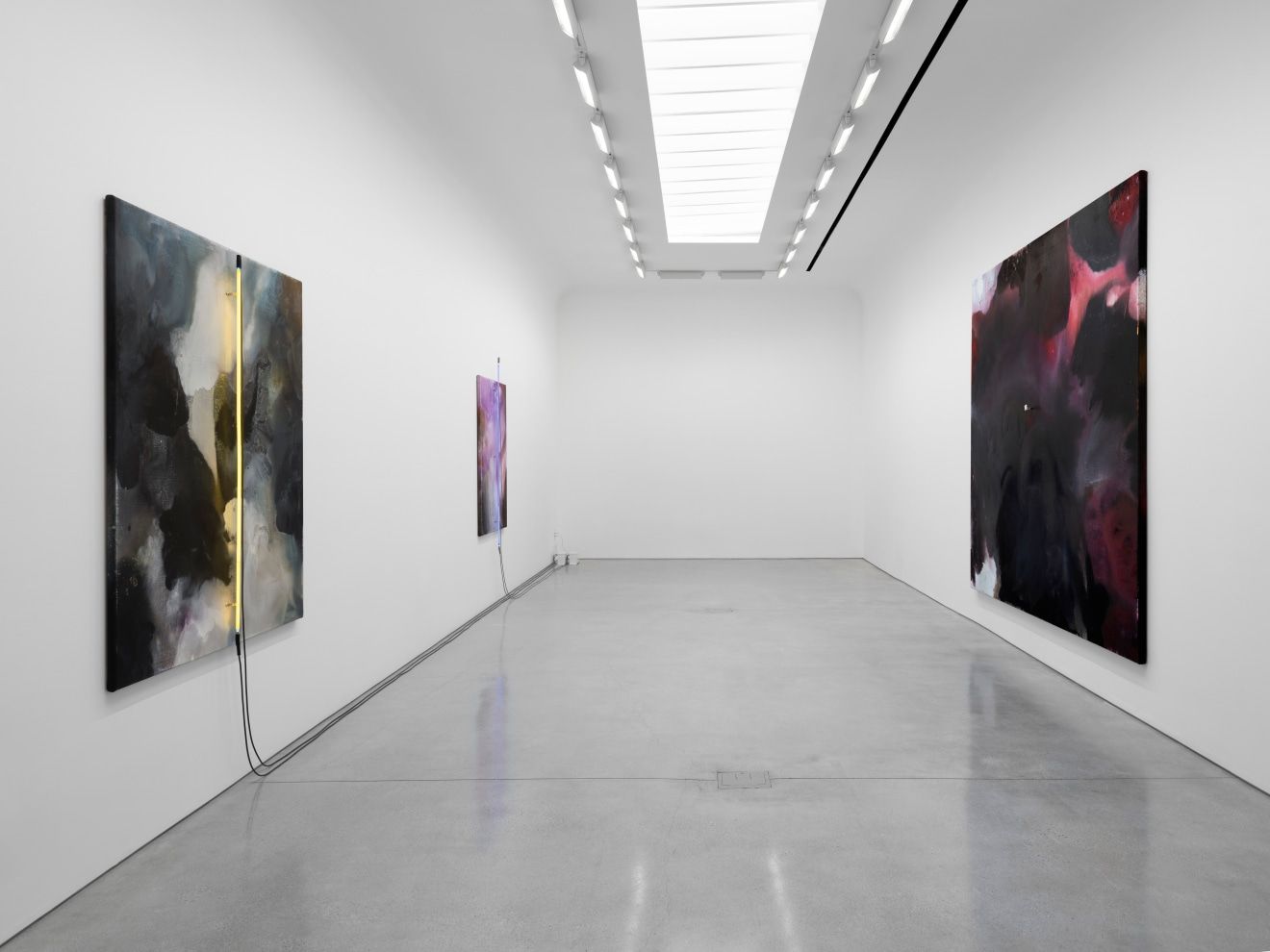 Mary Weatherford, The Surrealist at David Kordansky Gallery, photo 9