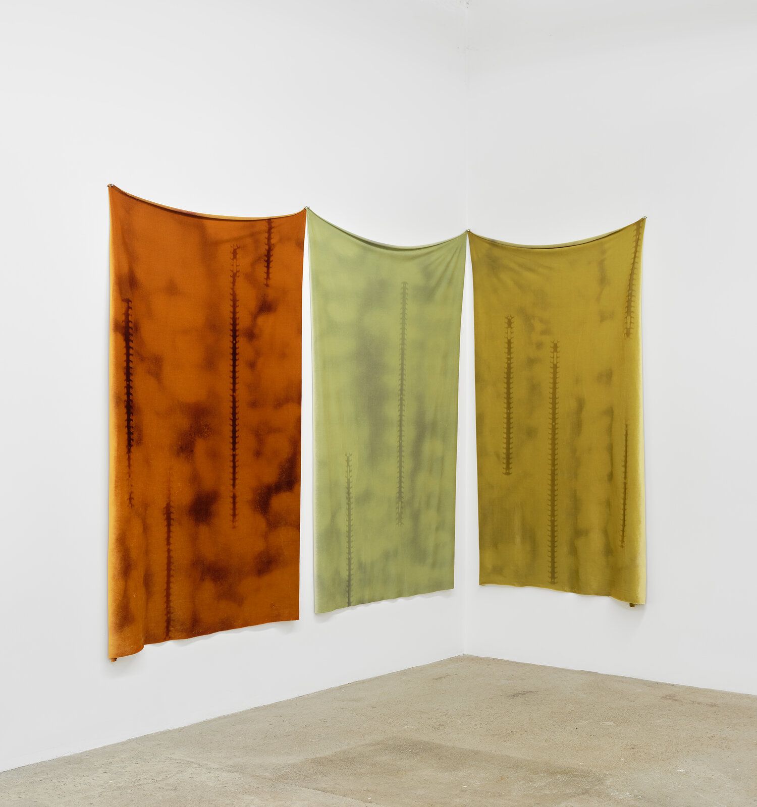 Eddy, Eddy at M 2 3, photo 19