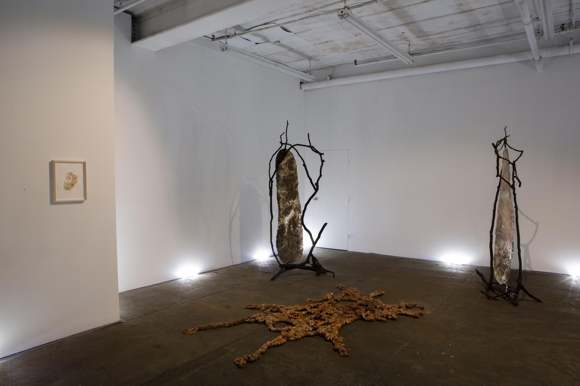 Vanessa Thill, Balsam at Deli Gallery, photo 2
