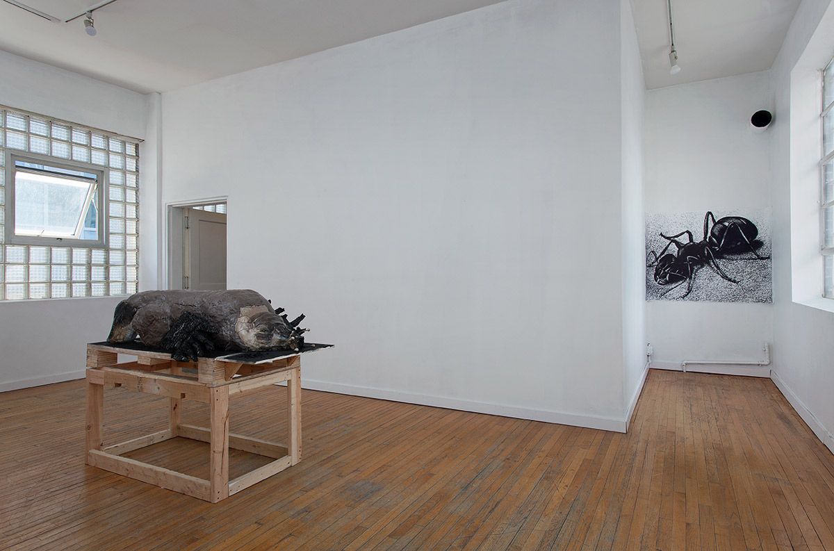 Andrew Ross, Holes at False Flag, photo 4