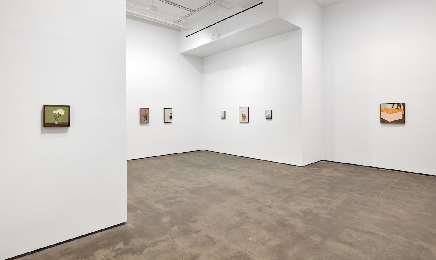 Installation view 9