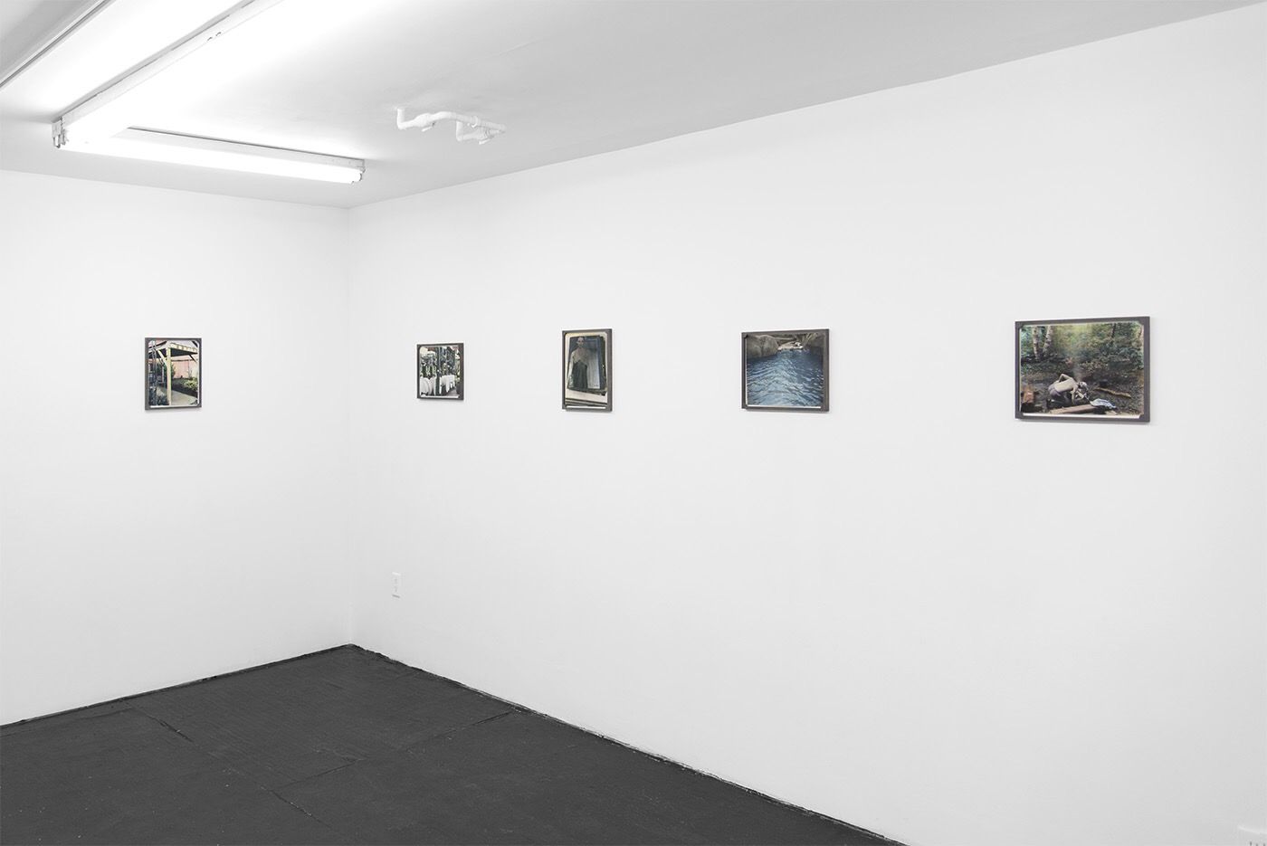 Em Rooney, The Word For Forest at Bodega, photo 4