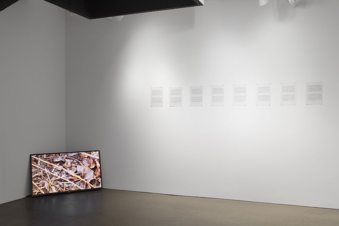 Lawrence Abu Hamdan & Amalia Pica, Tandem at Alexander and Bonin, photo 5