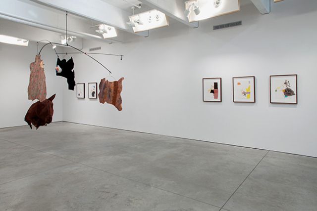 Anne Chu, Rubric for the Eye at Tracy Williams Ltd, photo 2