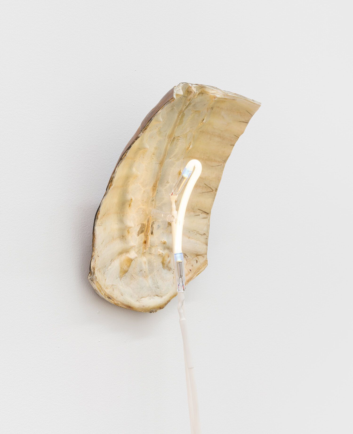 Sean Donovan, Recent Work at M 2 3, photo 16