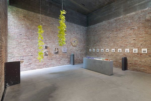 Tue Greenfort, Wunderkammer at König Galerie, photo 3