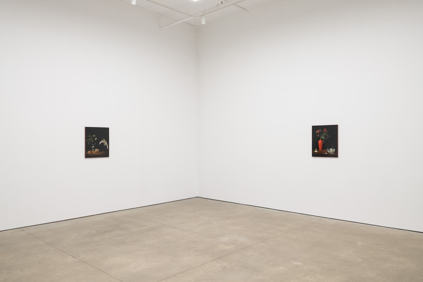 Sanam Khatibi, We Wait Until Dark at P·P·O·W, photo 7