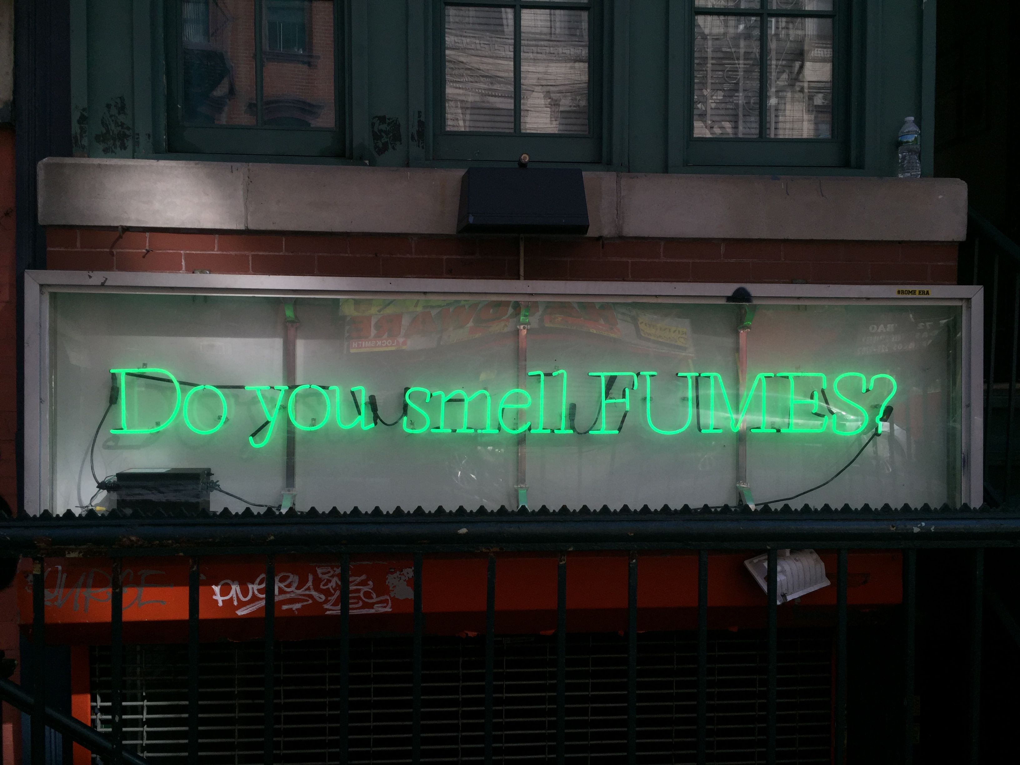 Sam Lipp, Sam Lipp at Bodega, photo 2