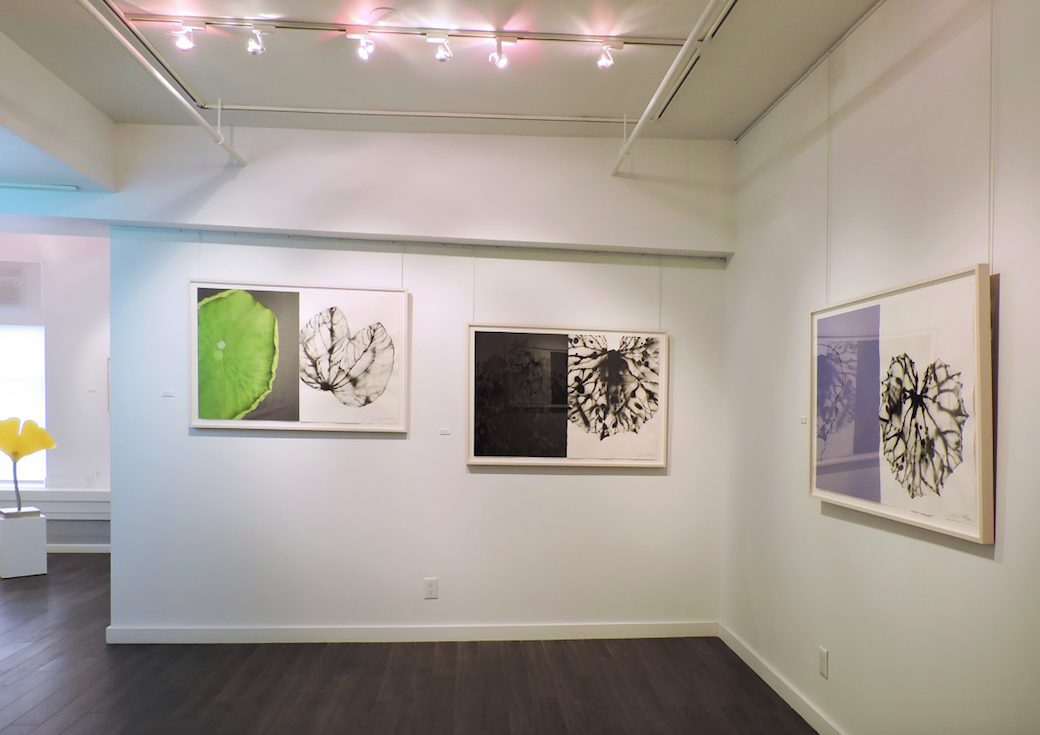 Barbara Edelstein, Leaf In The Air at Christian Duvernois Gallery, photo 3