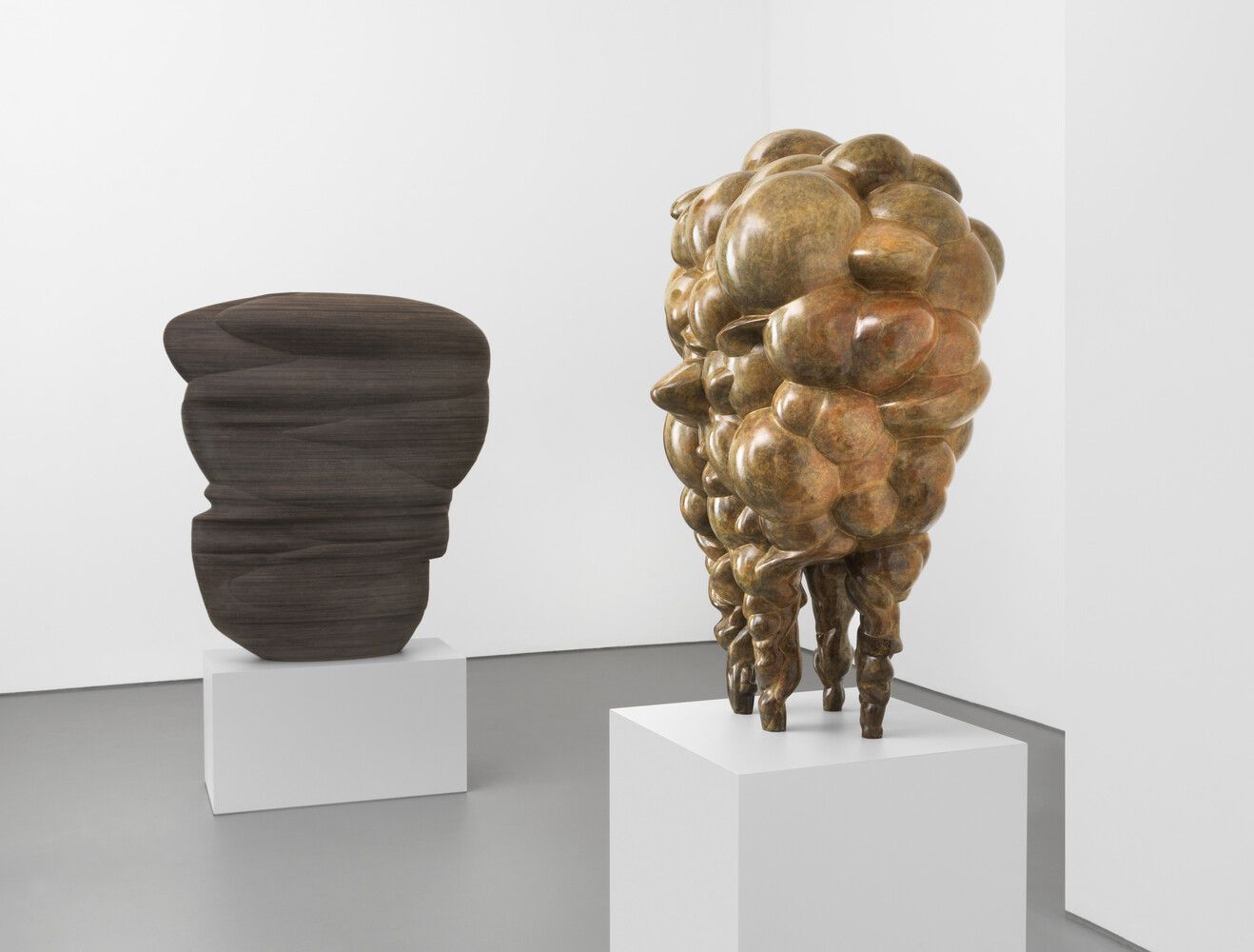 Tony Cragg, Sculptures at Buchmann Galerie, photo 3
