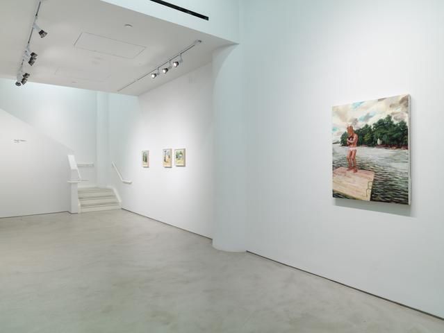 Hugh Steers, Hugh Steers at Alexander Gray Associates, photo 3