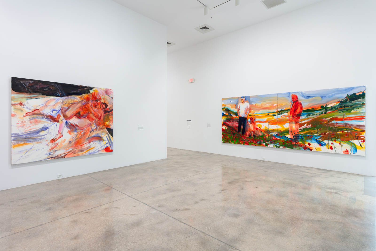 Collection Highlights, Collection Highlights at Rubell Museum, photo 11