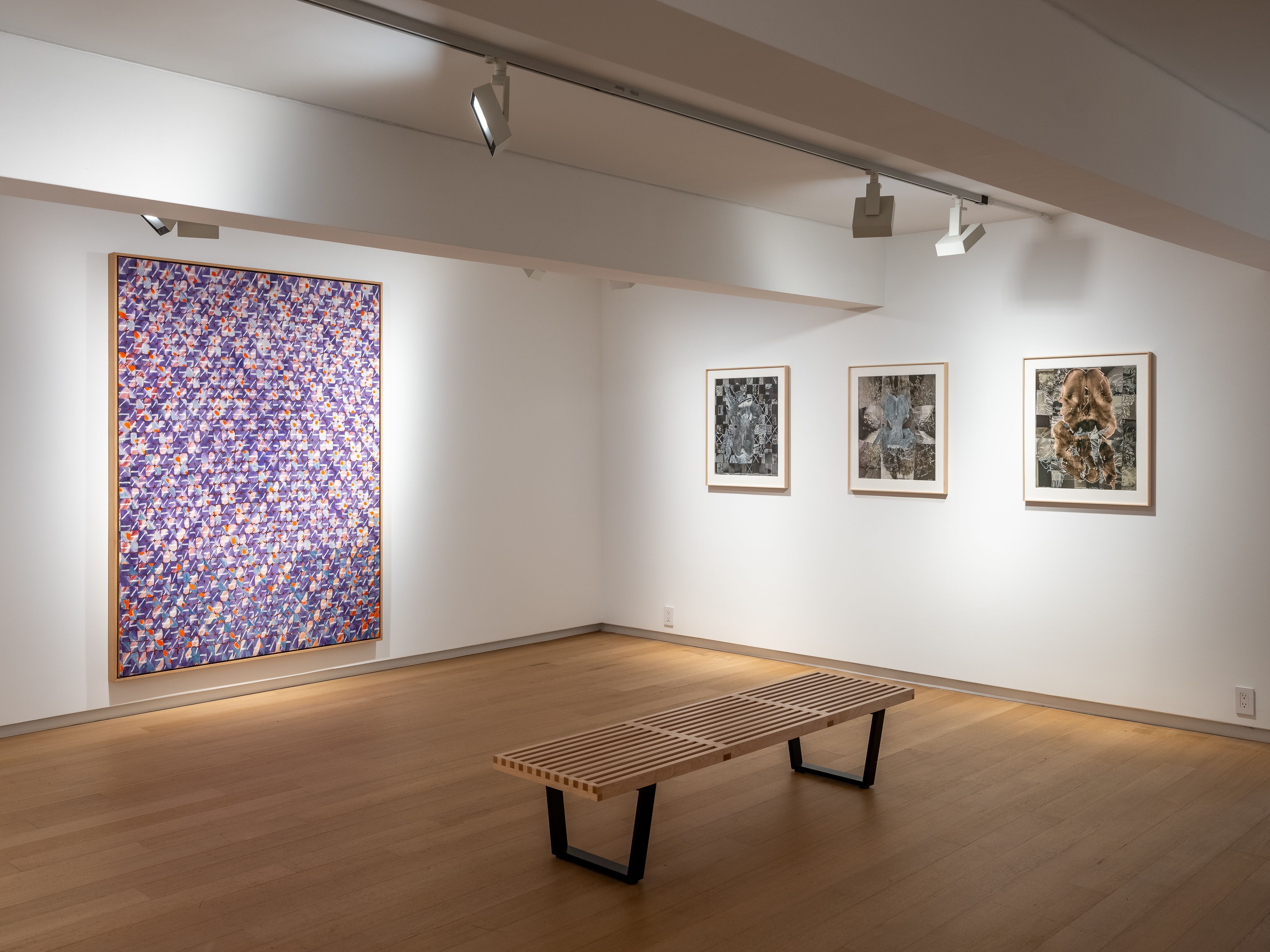 François Rouan, Recorda at Templon, photo 9
