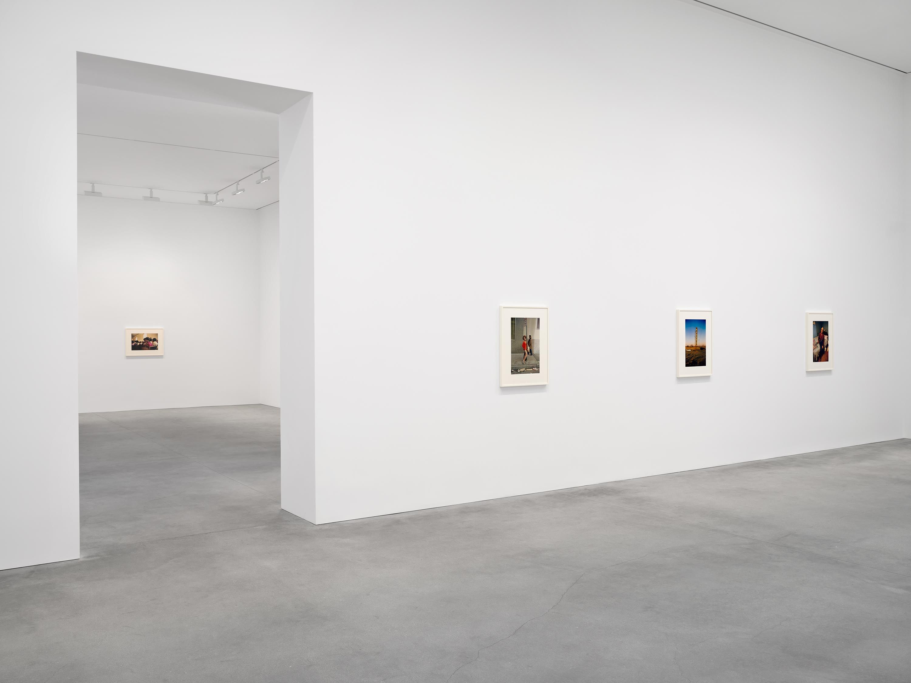 William Eggleston, The Last Dyes at David Zwirner, photo 8