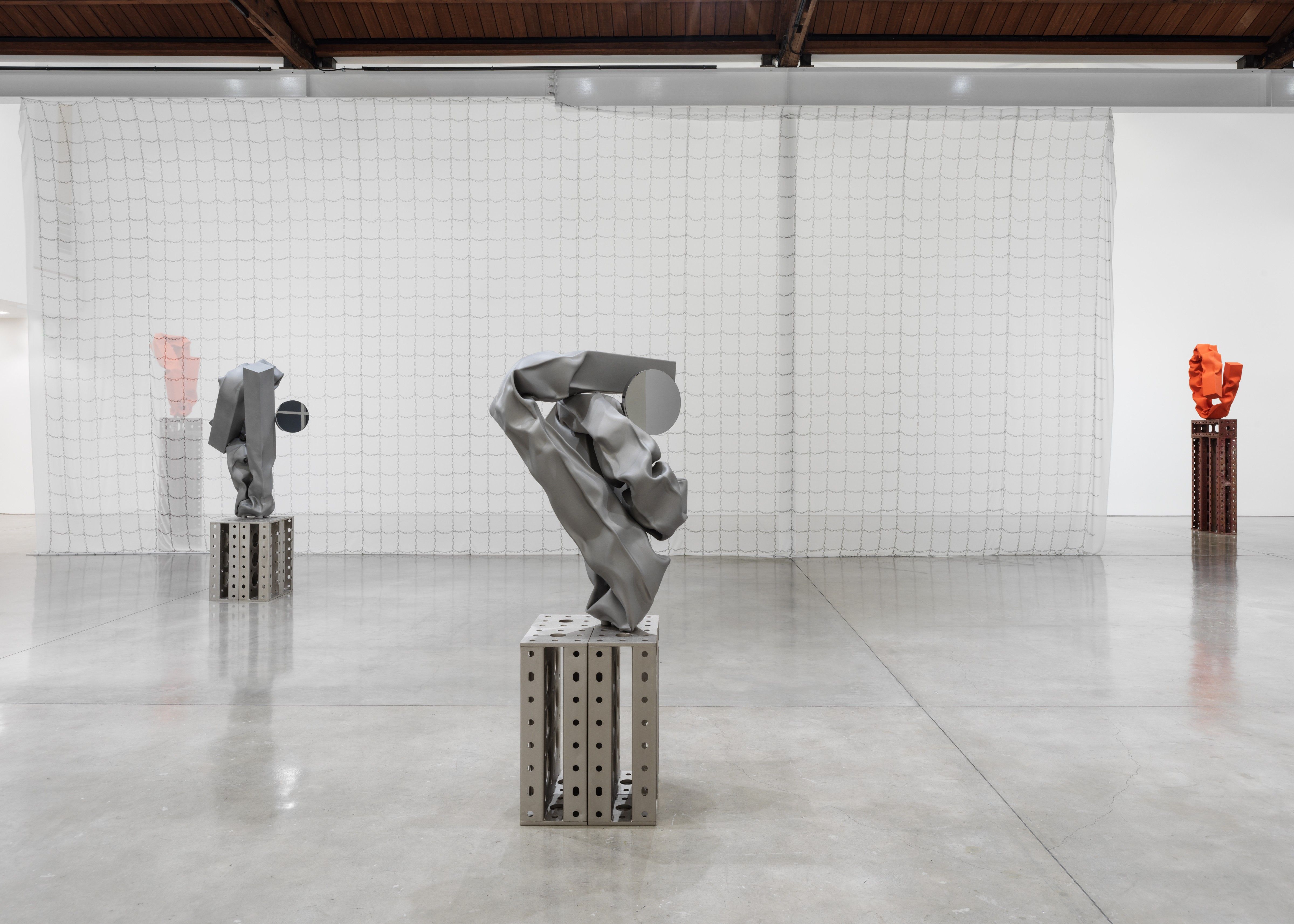 Carol Bove, image 5 of 6