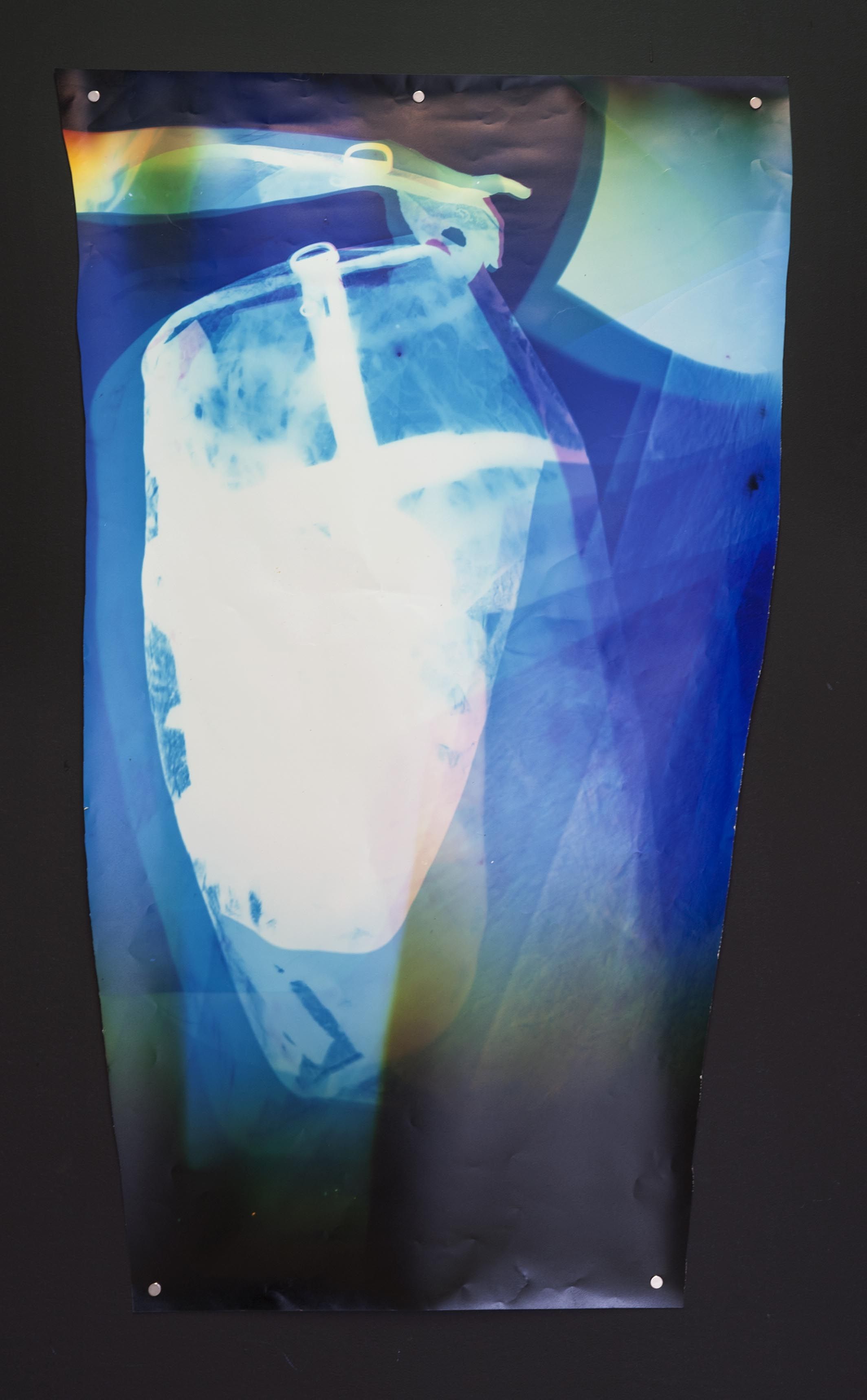 Tatiana Kronberg, Exposure at Essex Flowers, photo 2