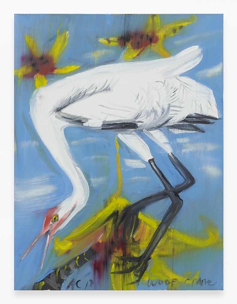 Ann Craven, American Birds (Endangered, Extinct, after Audubon), 2018-19 at Southard Reid, photo 2
