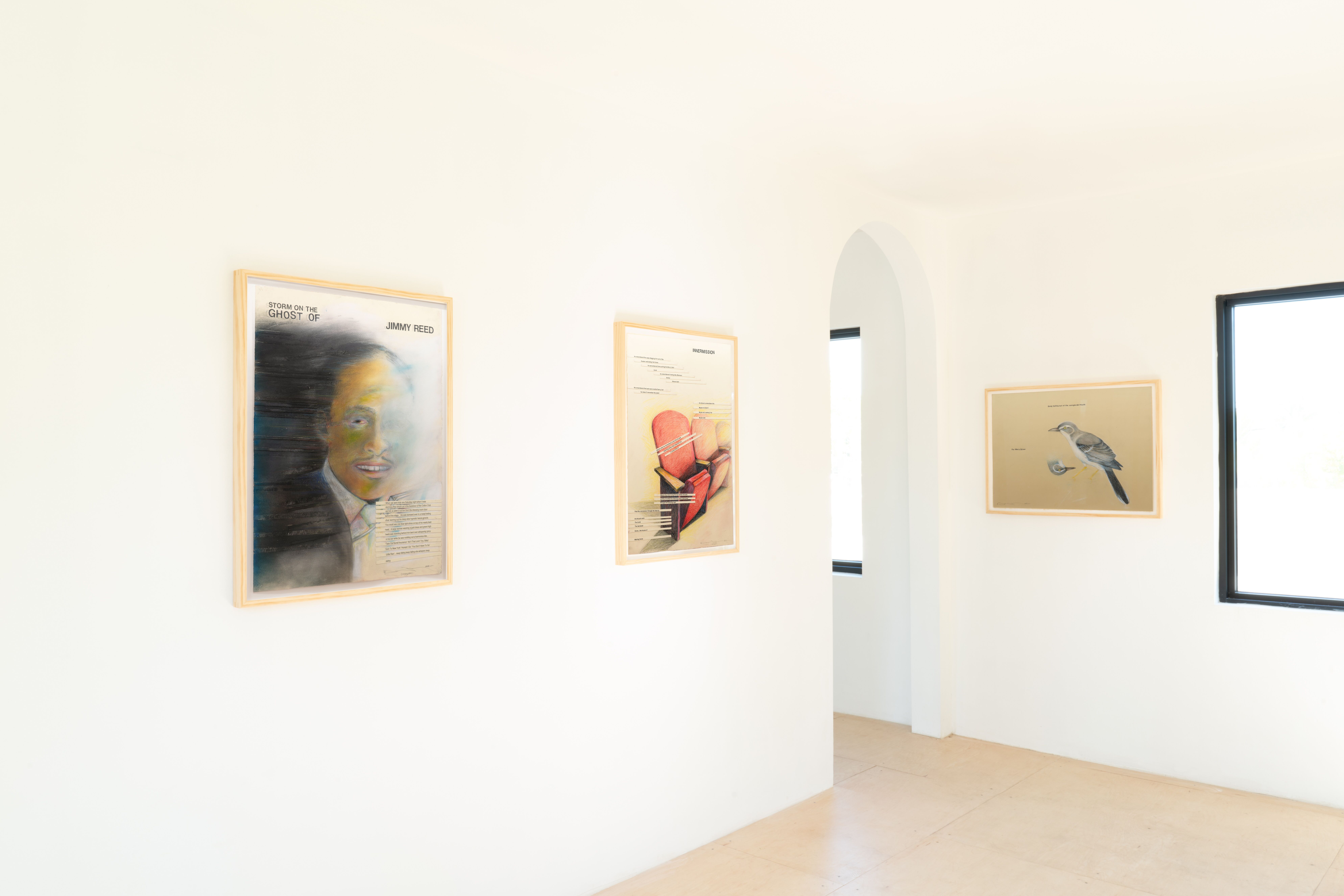 Terry Allen, Some Pictures and Other Songs at Nina Johnson, photo 2