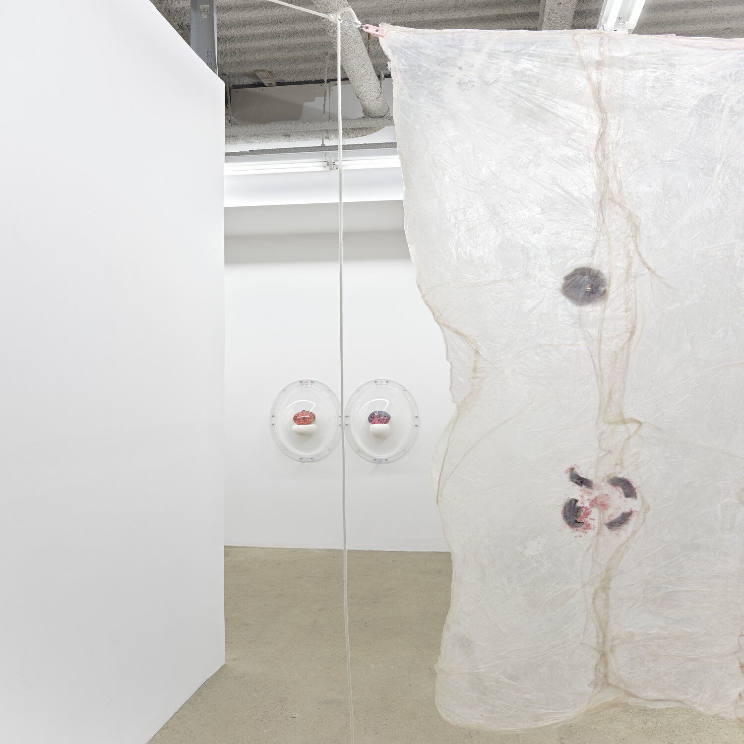 Karinne Smith, Melon Skin at M 2 3, photo 25