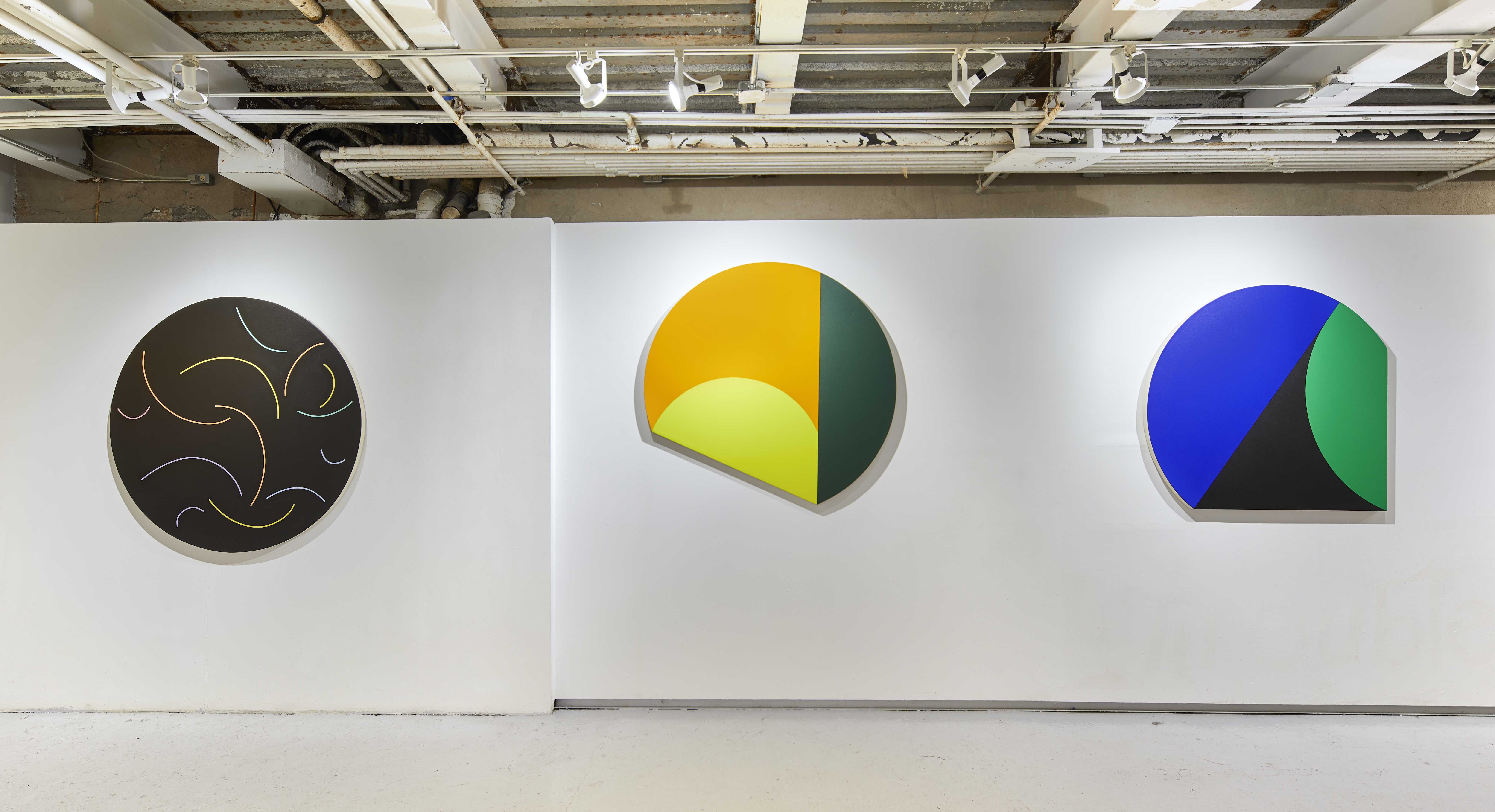 Leo Valledor, Color As Space at WhiteBox, photo 3