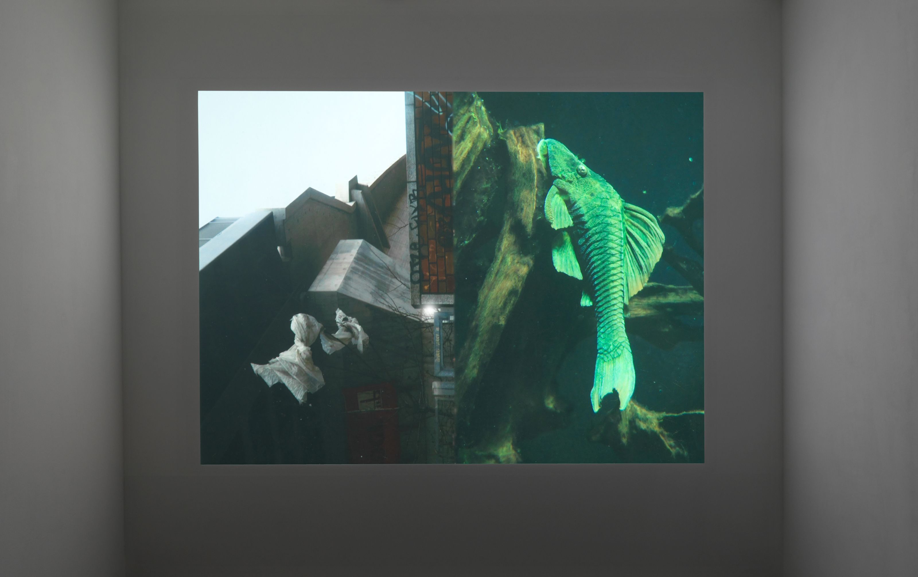 Boris Mikhailov, Windows of the Opportunities at Barbara Weiss, photo 2