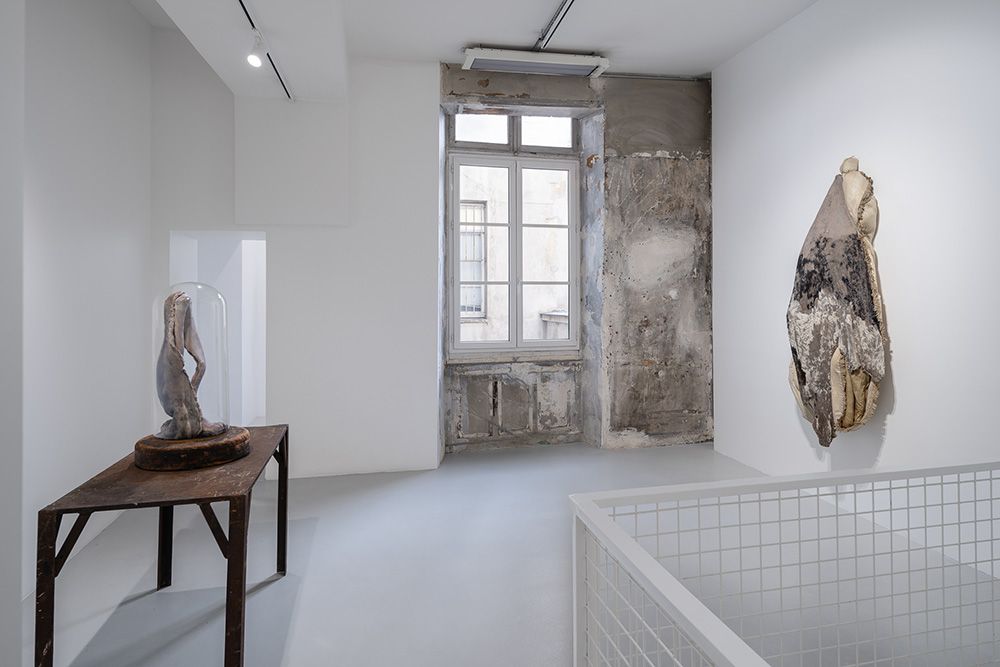 Berlinde De Bruyckere, Need at Continua, photo 6
