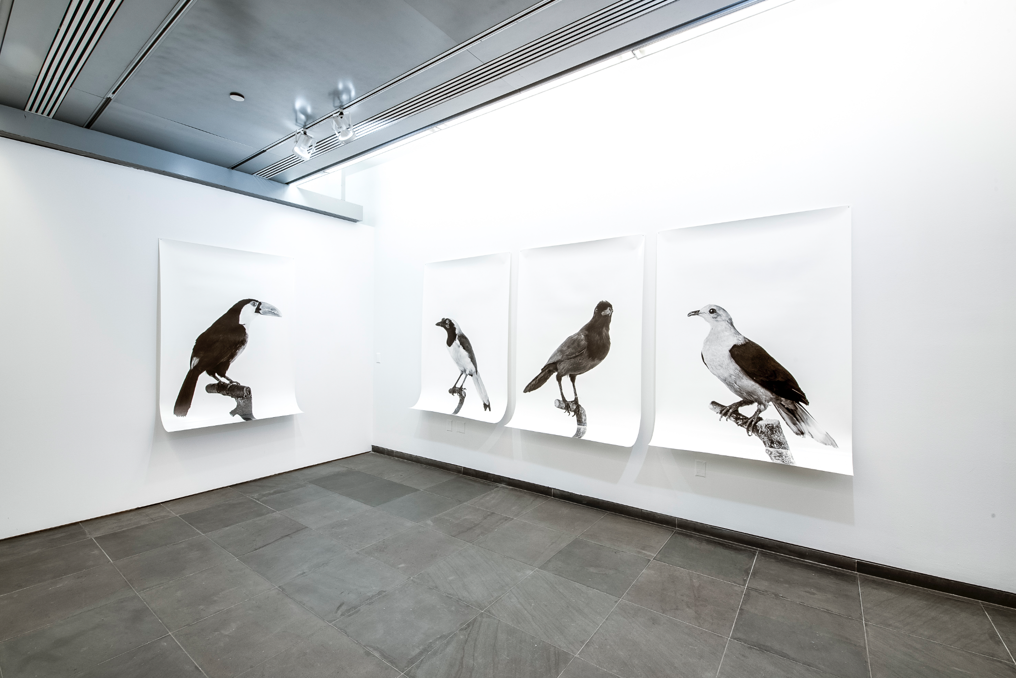 Yvonne Oswald & Tatiana Lecomte, Void at Austrian Cultural Forum, photo 15