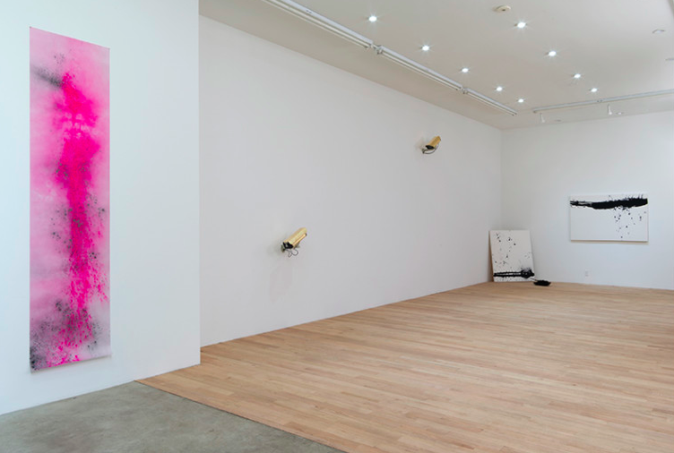 Addie Wagenknecht, Shellshock at Bitforms, photo 2