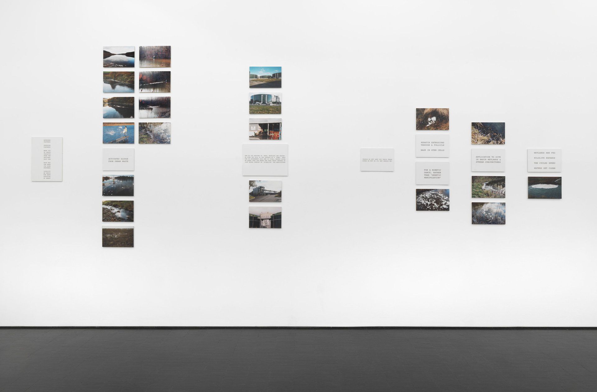 Peter Fend, Birds Reign at Barbara Weiss, photo 4