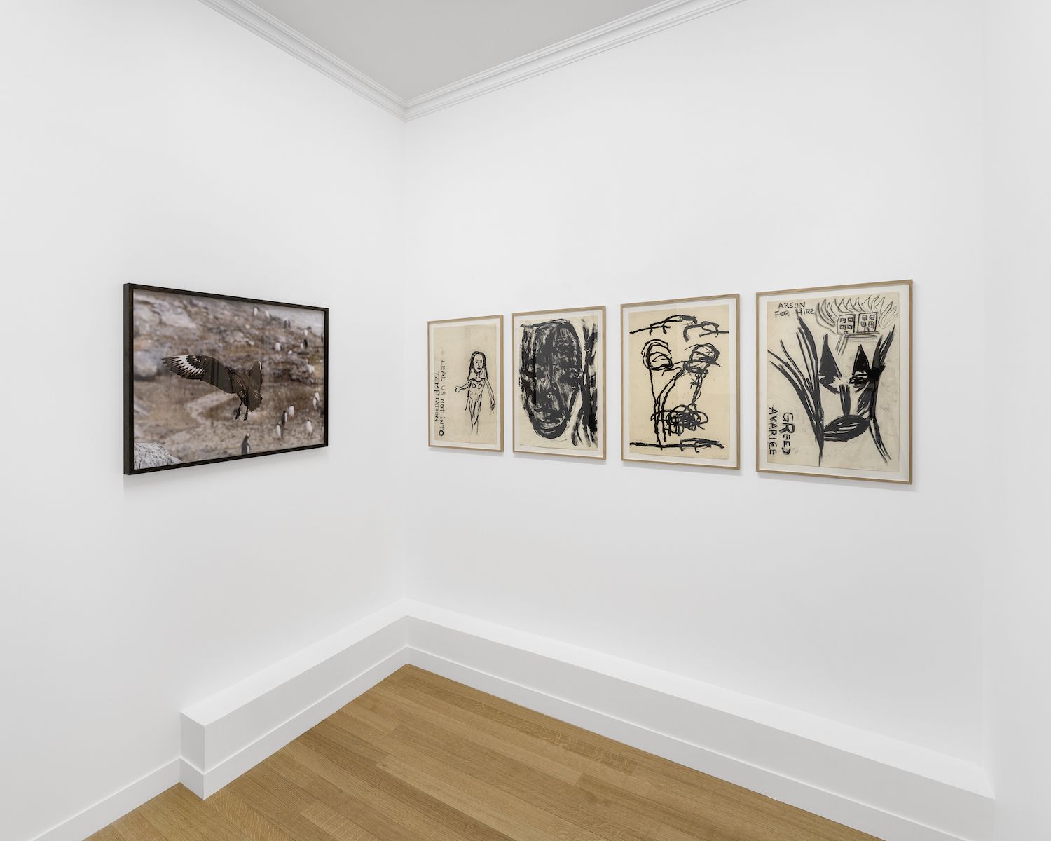 Dan Asher, Nature at Pact, photo 7