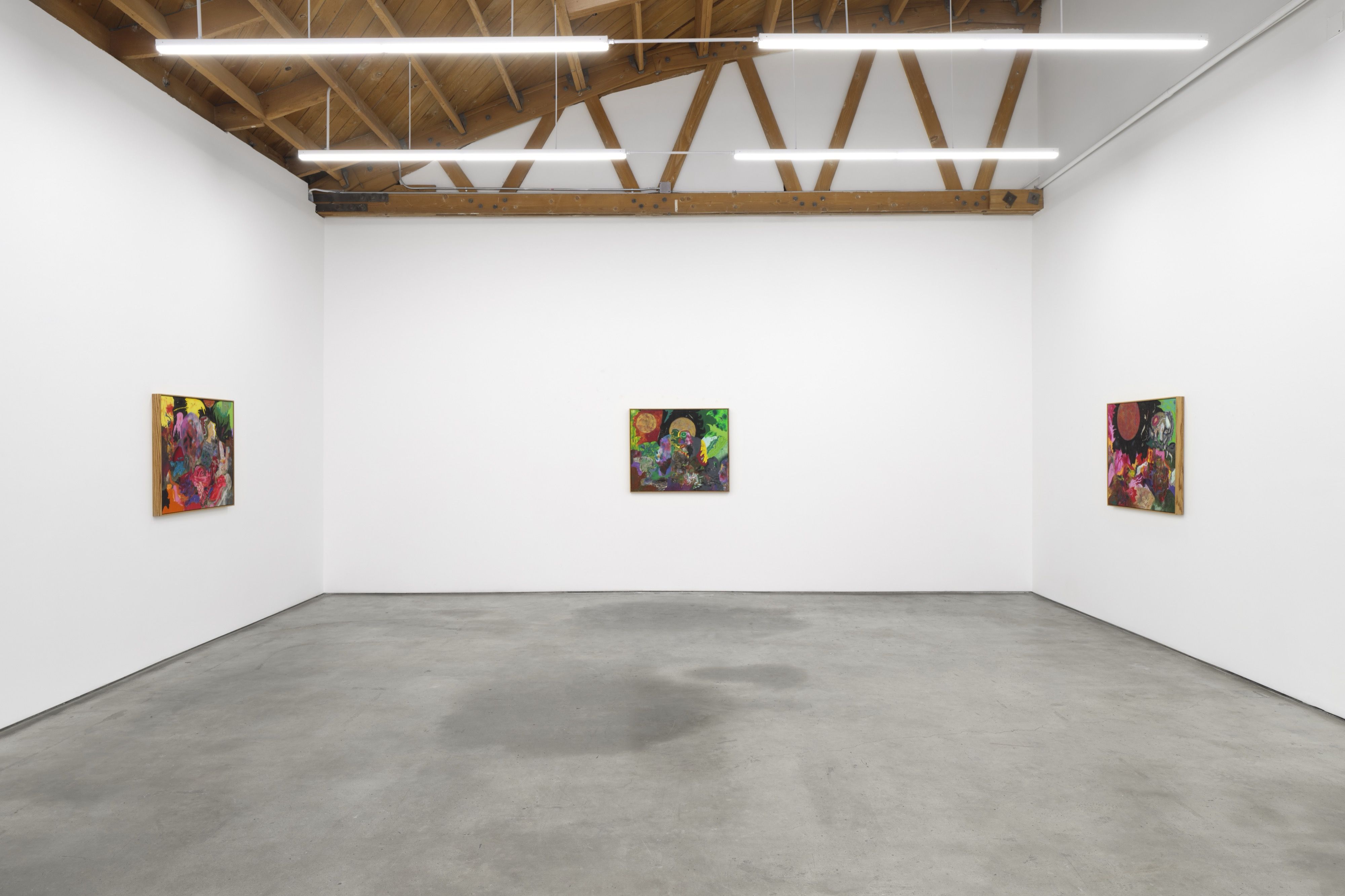 Michael Bauer, Propelled Into the Past and Oozing From His Glands at Megan Mulrooney, photo 15