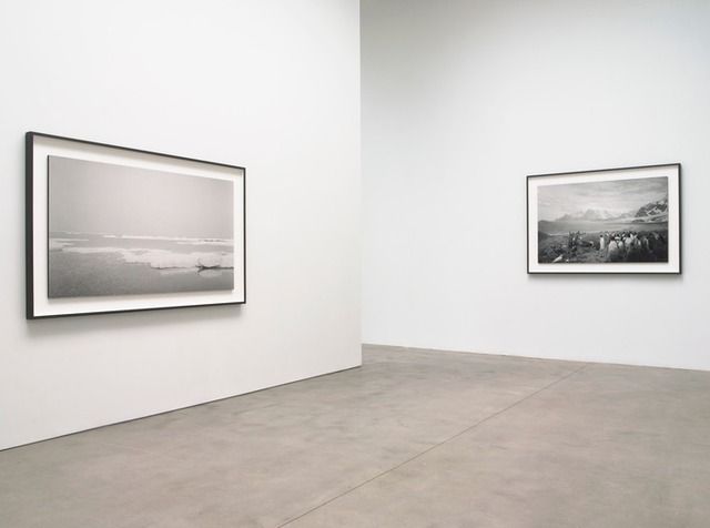 Hiroshi Sugimoto, Still Life at Pace Gallery, photo 6