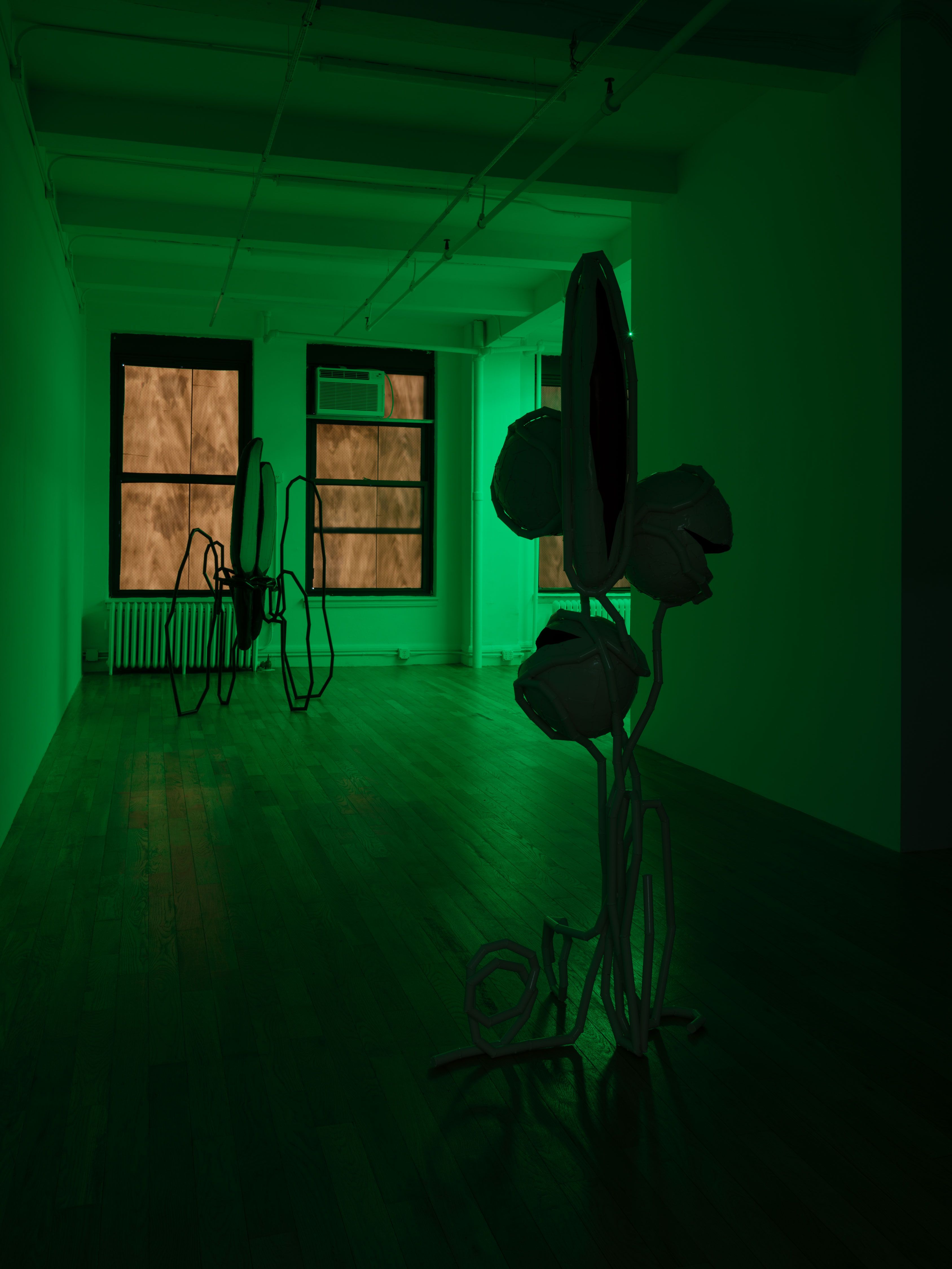 Indrikis Gelzis, Bingo Gaze at Polina Berlin Gallery, photo 9
