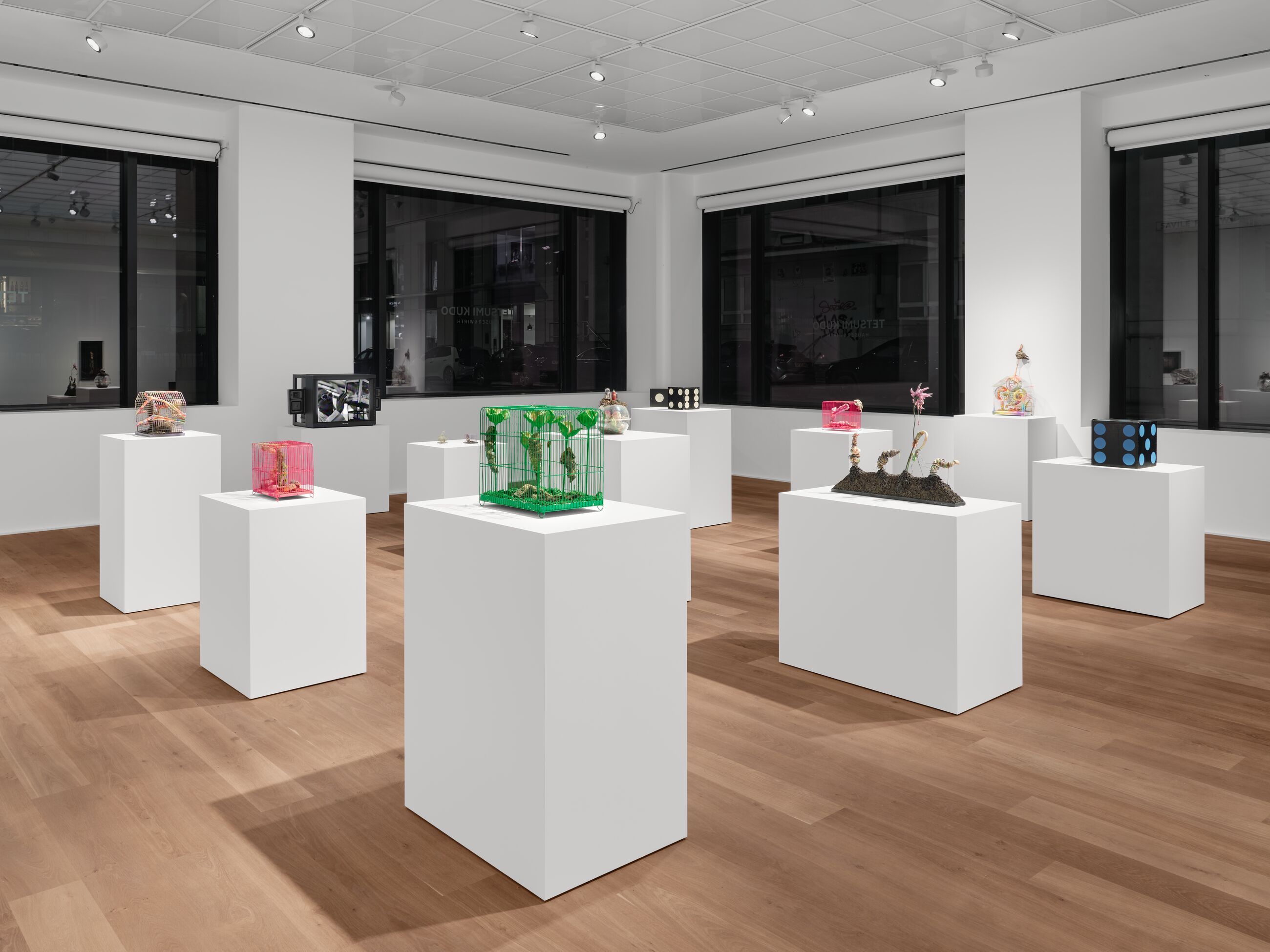 Tetsumi Kudo, Microcosms at Hauser & Wirth, photo 5
