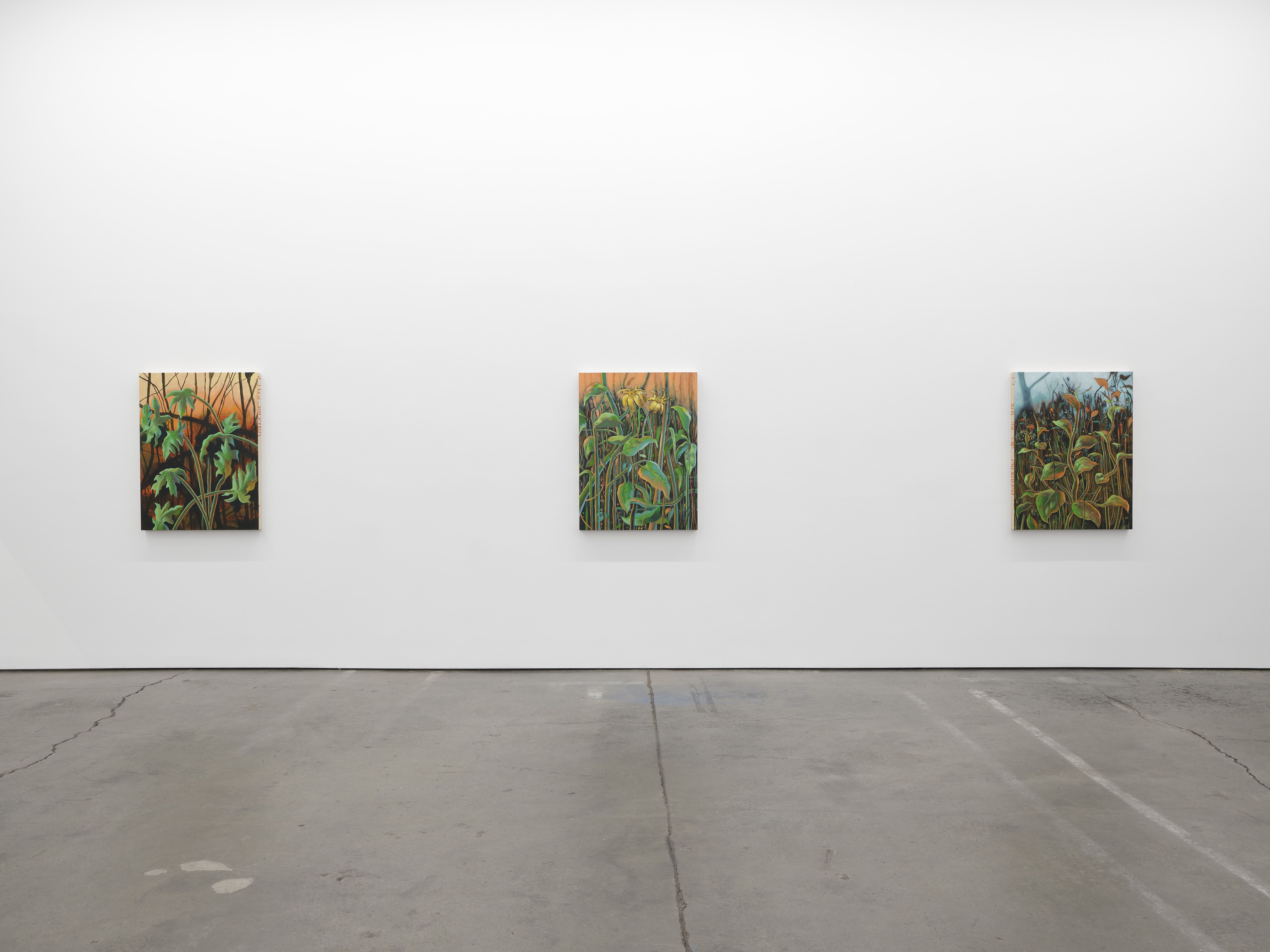 Didier William, Beyond the Bodies’ Edge at Altman Siegel, photo 5