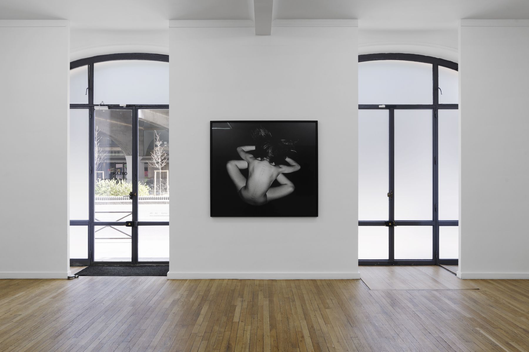 Orlan, Historical Striptease at Ceysson & Bénétière, photo 2