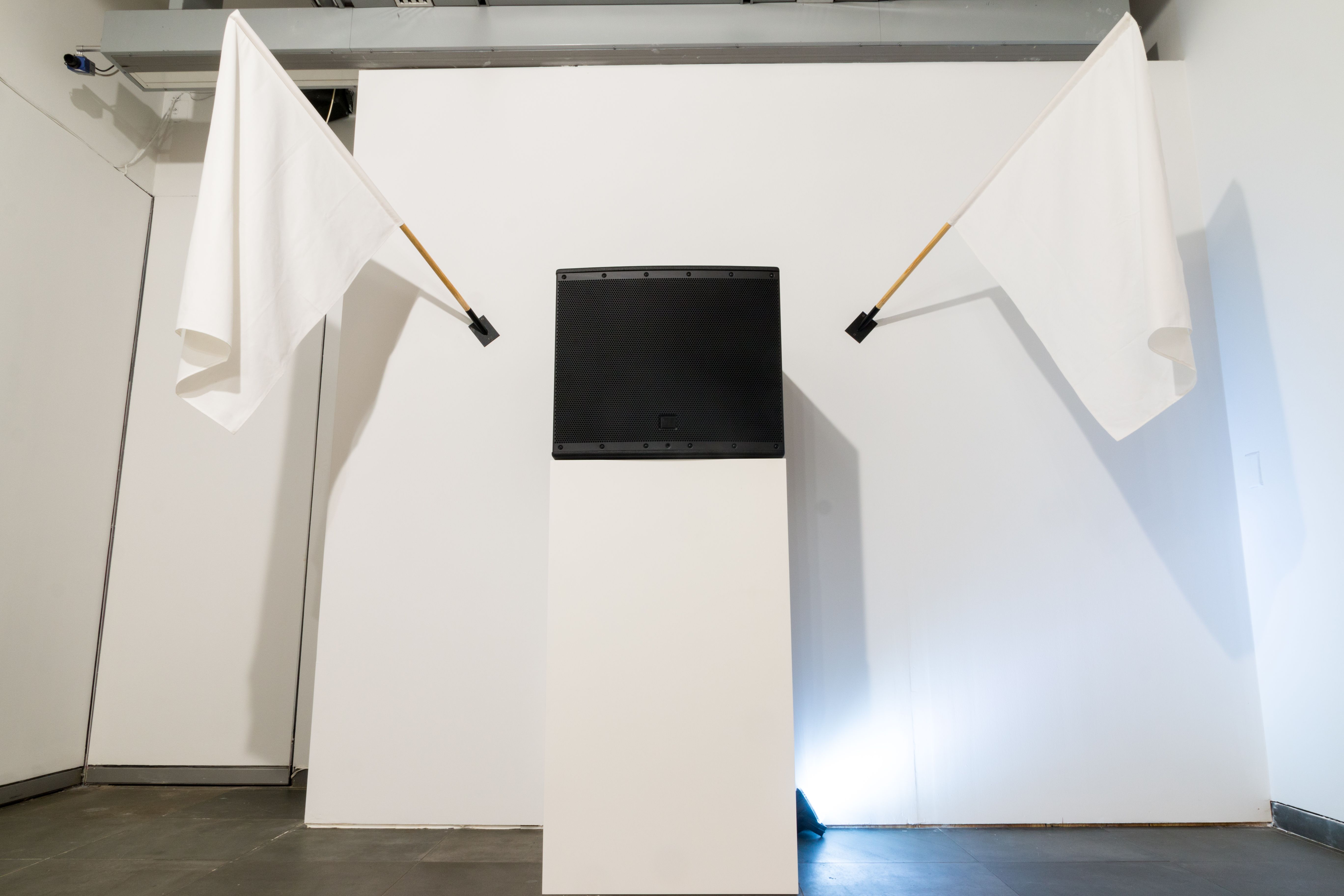 Karl Salzmann, Monopulism at Austrian Cultural Forum, photo 2