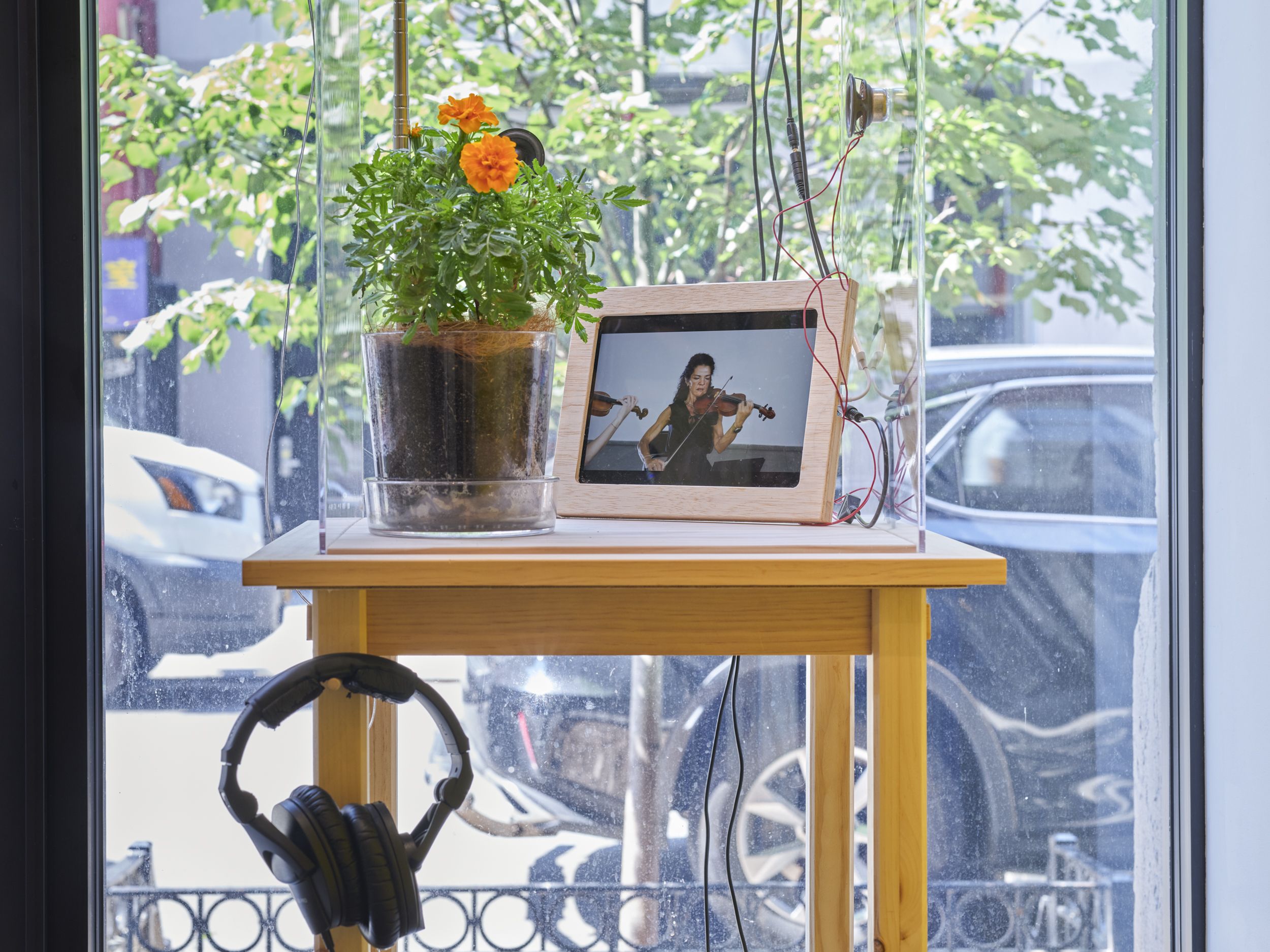 Common Sentience, Common Sentience at 601 Artspace, photo 14