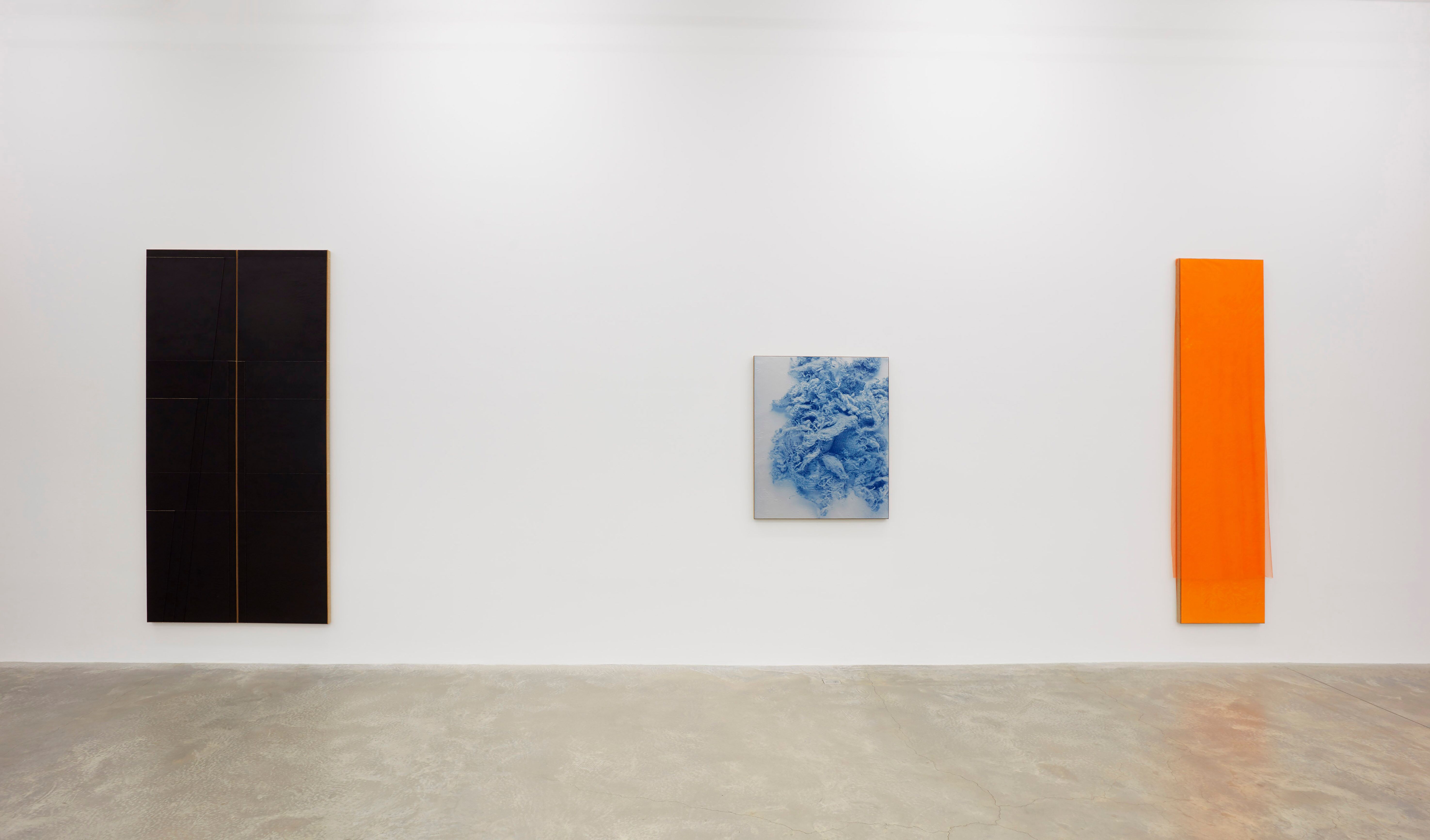 N. Dash, N. Dash at Casey Kaplan, photo 14