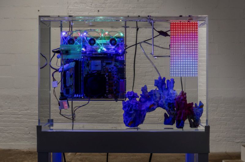 Rachel Rossin, Peak Performance at Signal, photo 3