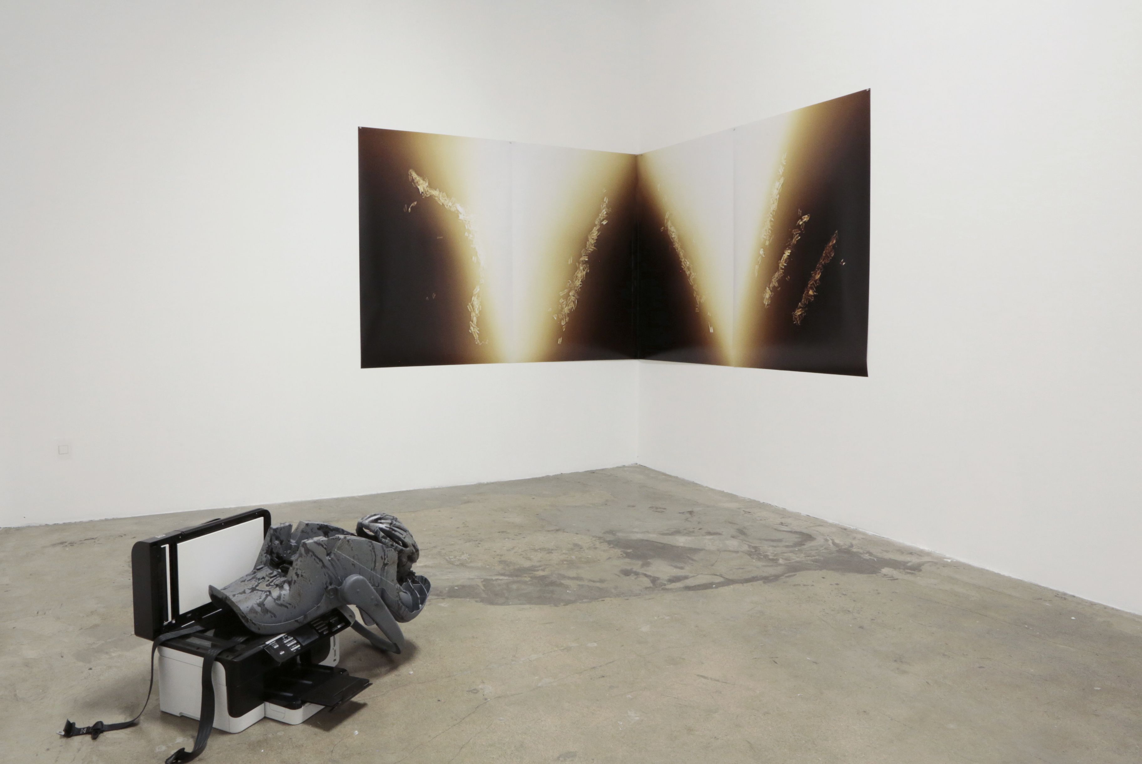 Tatiana Echeverri Fernandez, Bones and Bloodlines to Space at Museum as Retail Space, photo 5