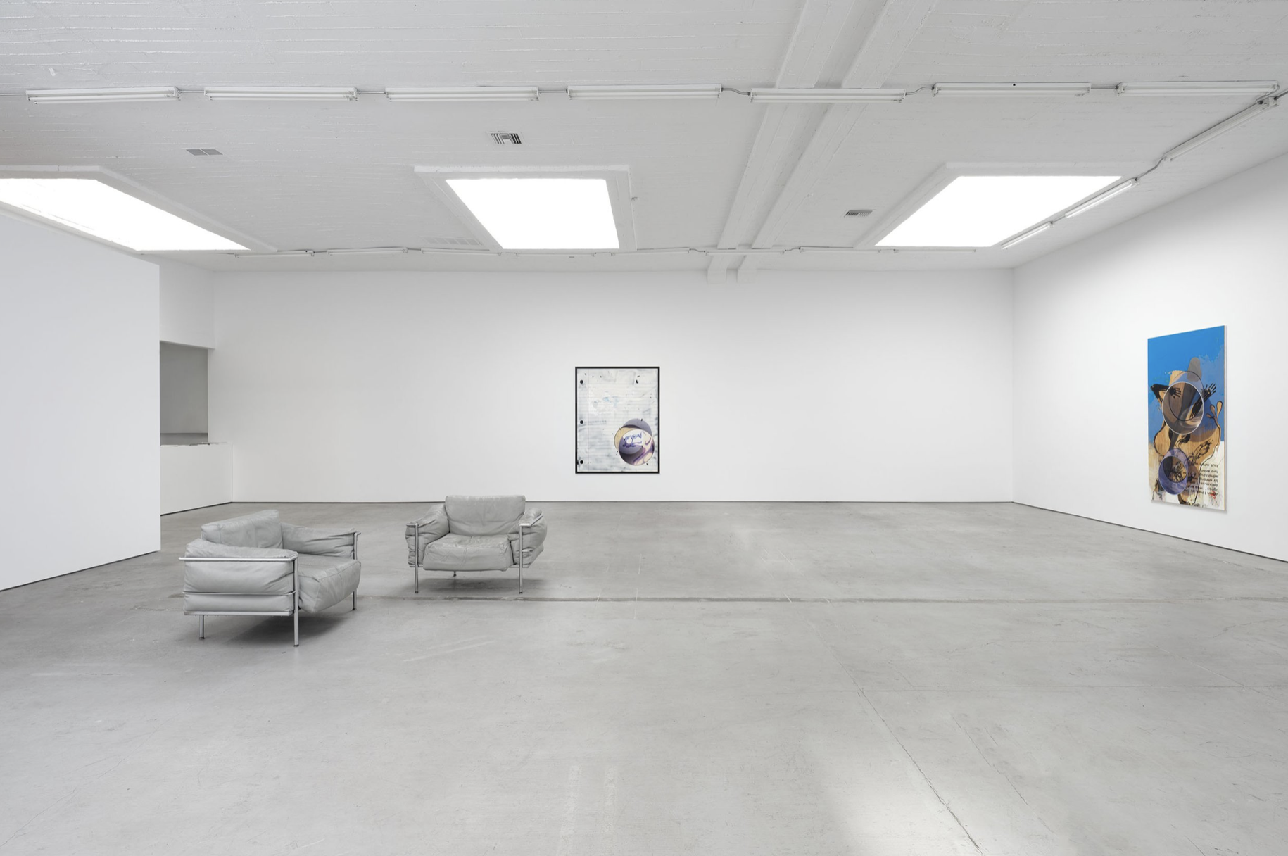 Seth Price, I Don't Miss My Mind at Gaga & Reena Spaulings, photo 3
