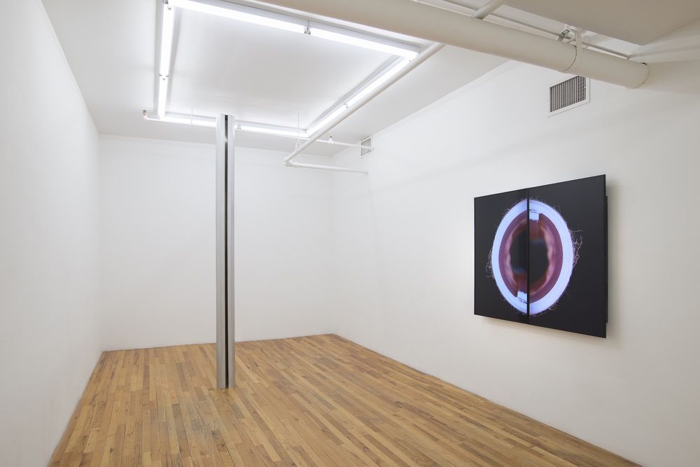 David J. Merritt, Flesh of My Flesh at Kansas Gallery, photo 2