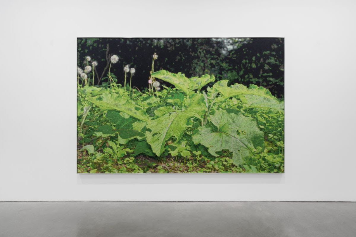David Hartt, Naturphilosophie at Thomas Schulte, photo 2