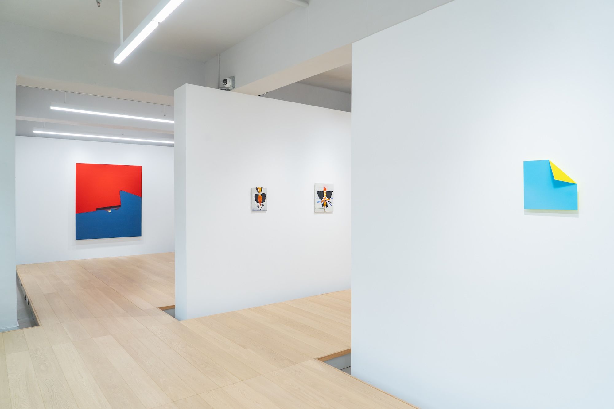 Embodied Perspectives, Embodied Perspectives at WKM Gallery, photo 4