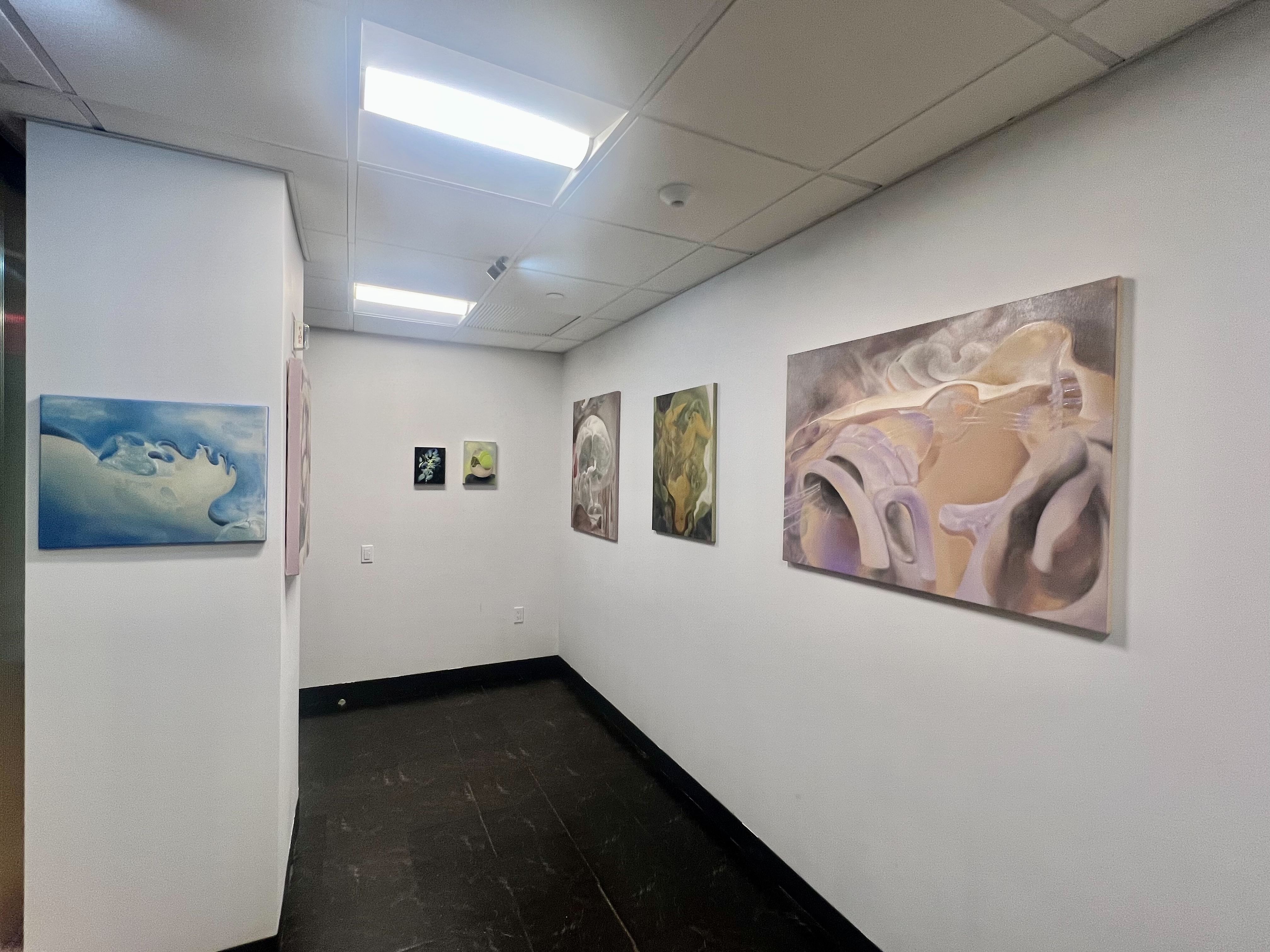 Tiantian Ma, Somewhere Between Everything at Charmoli Ciarmoli, photo 2