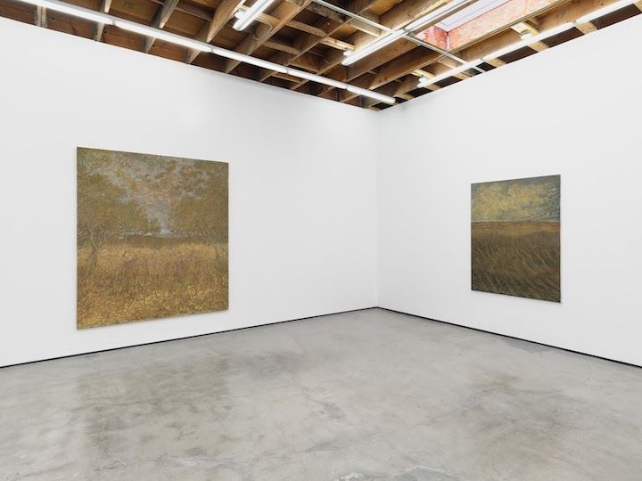 Francesco Cima, Ladra Terra at Amanita, photo 5