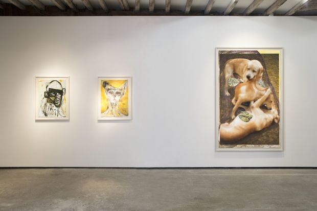 Huma Bhabha, Huma Bhabha at Salon 94, photo 2